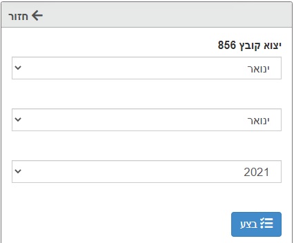 דוח 856 במערכת לניהול עסק