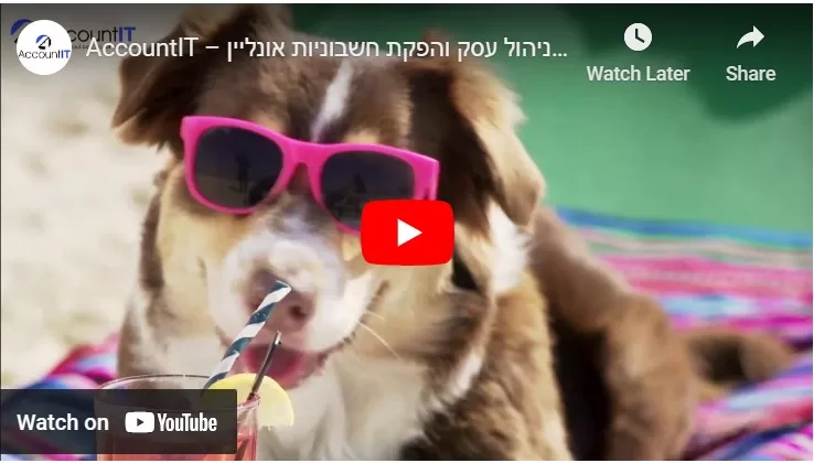 תוכנה לניהול עסק